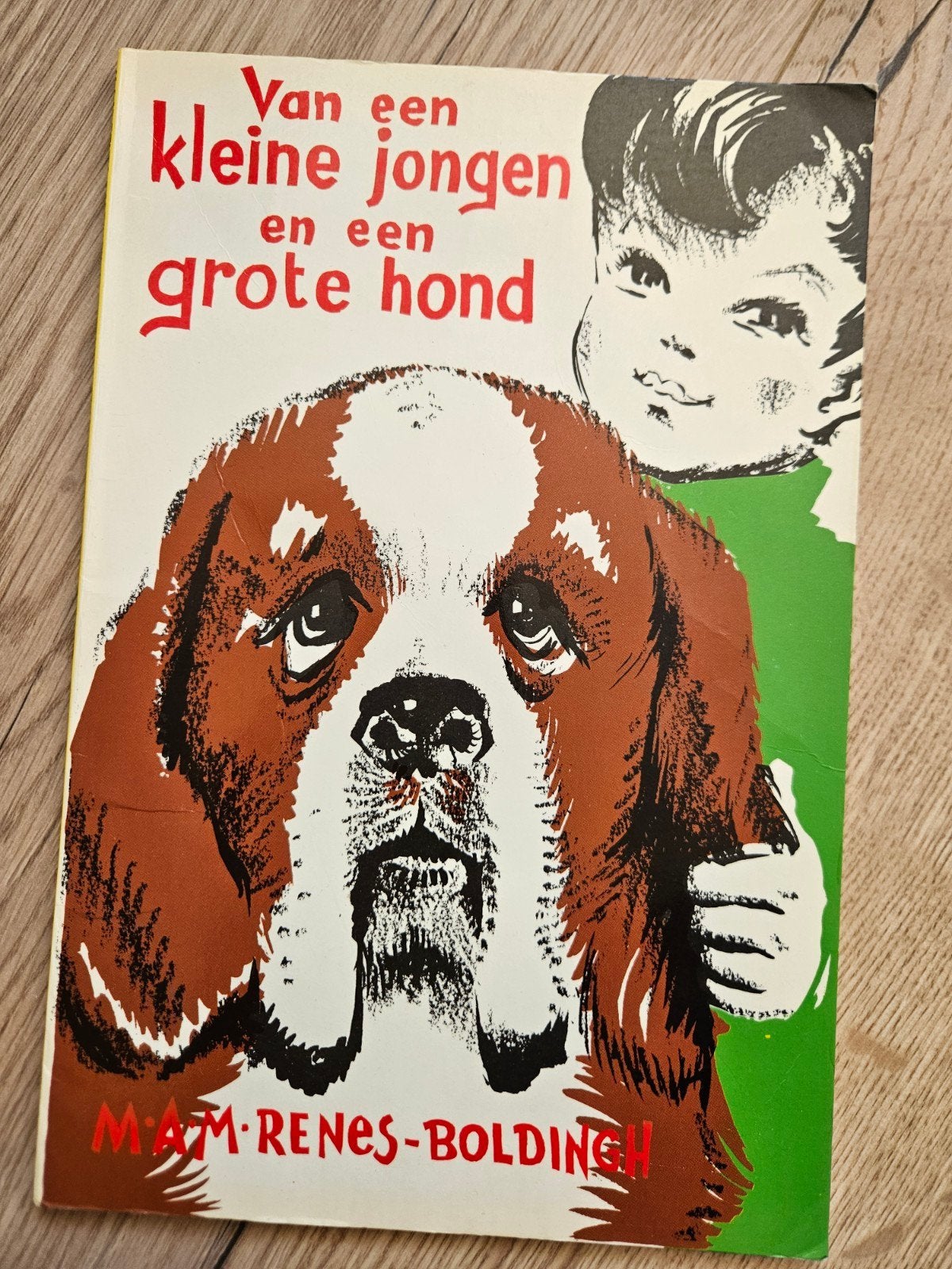 Van een kleine jongen en een grote hond - Renes-Boldin, Boeken, Ophalen of Verzenden, Gelezen, M. A. M. Renes-Boldingh, Fictie algemeen