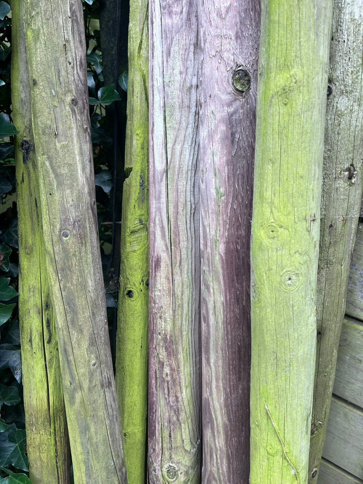 Boompalen, Zie omschrijving, Ophalen, Gebruikt, 180 tot 250 cm, Palen