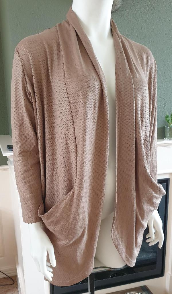 Crème de la crème bruine cardigan vest XL mt 46 48, Kleding | Dames, Beige, Maat 46/48 (XL) of groter, Creme de la creme, Ophalen of Verzenden