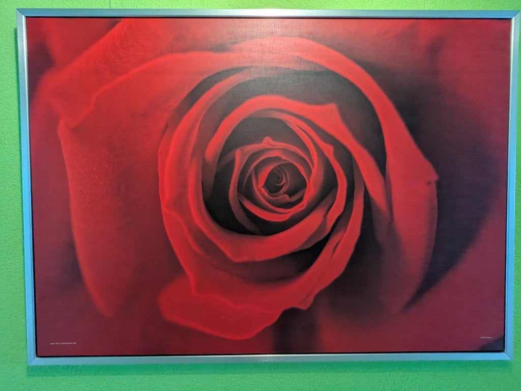 foto "schilderij" ROOS, Ophalen, Gebruikt, 125 cm of meer, Foto of Poster