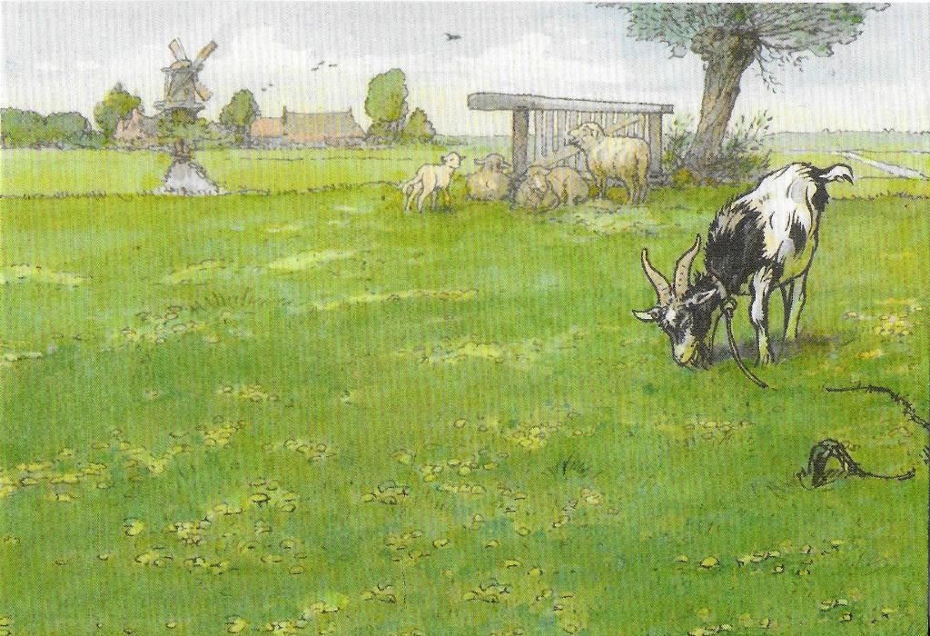 Ongelopen Ansichtkaart Weide van het leesplankje (B3964 ), Ophalen of Verzenden, 1980 tot heden, Ongelopen