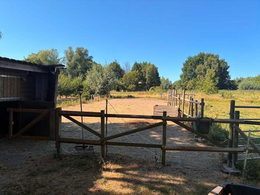 Stalling /weide aangeboden (liefst Shetlander) in Acquoy, Weidegang, 2 of 3 paarden of pony's