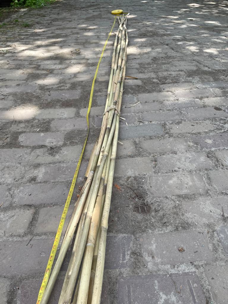 Bamboestokken 340-350 cm, Tuin en Terras, Palen, Balken en Planken, Ophalen, Zo goed als nieuw, 250 cm of meer, Palen