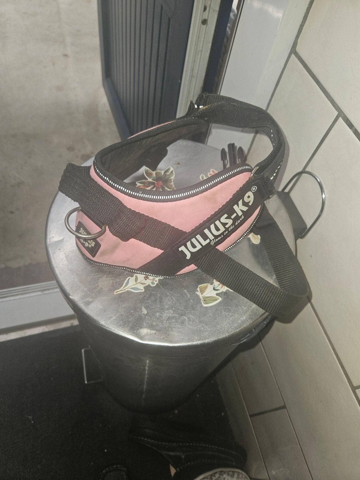 Hond, Dieren en Toebehoren, Ophalen of Verzenden
