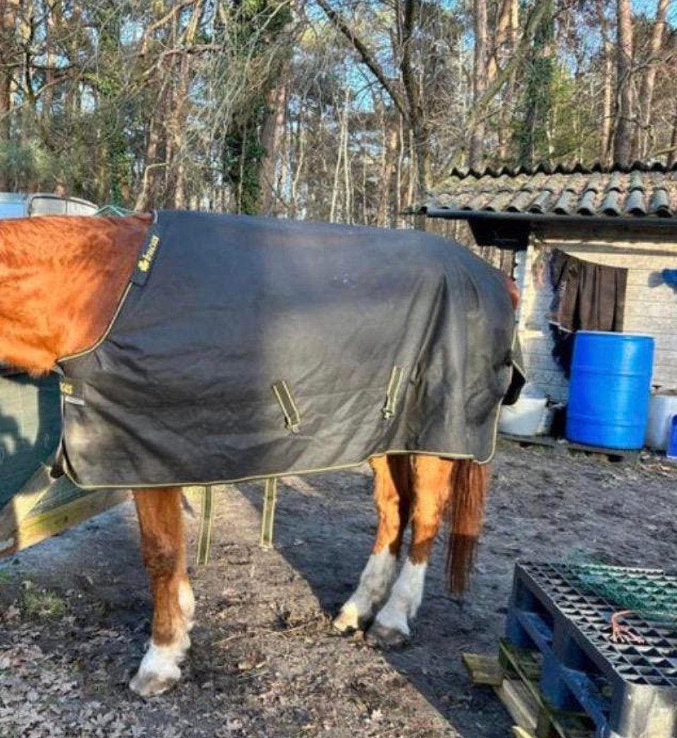 Bucas Irish turnout 6.9, Bucas, Extra Full (XL), Ophalen of Verzenden, Zo goed als nieuw