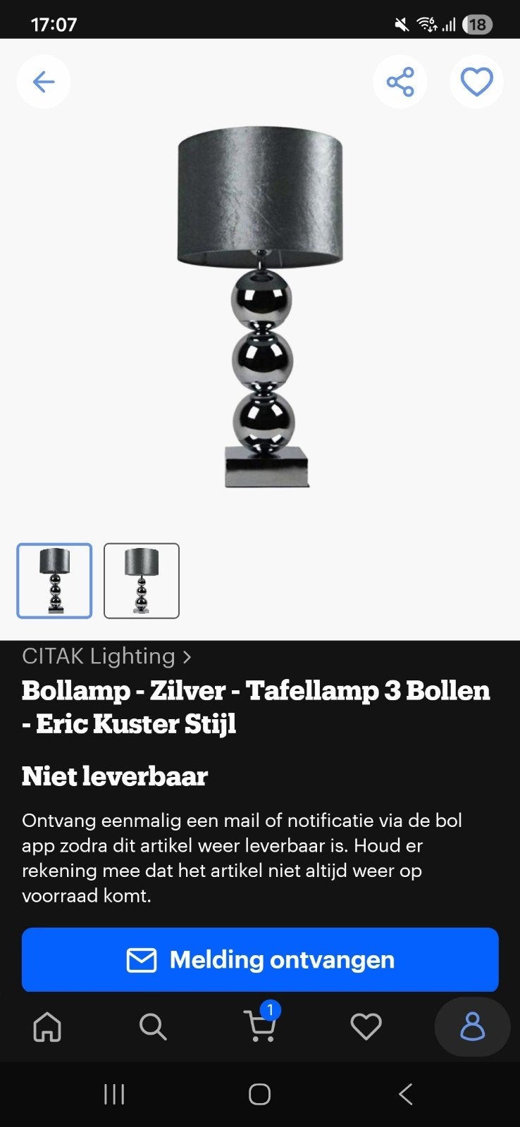 Zilveren bollenlamp, Huis en Inrichting, Ophalen of Verzenden, Minder dan 50 cm