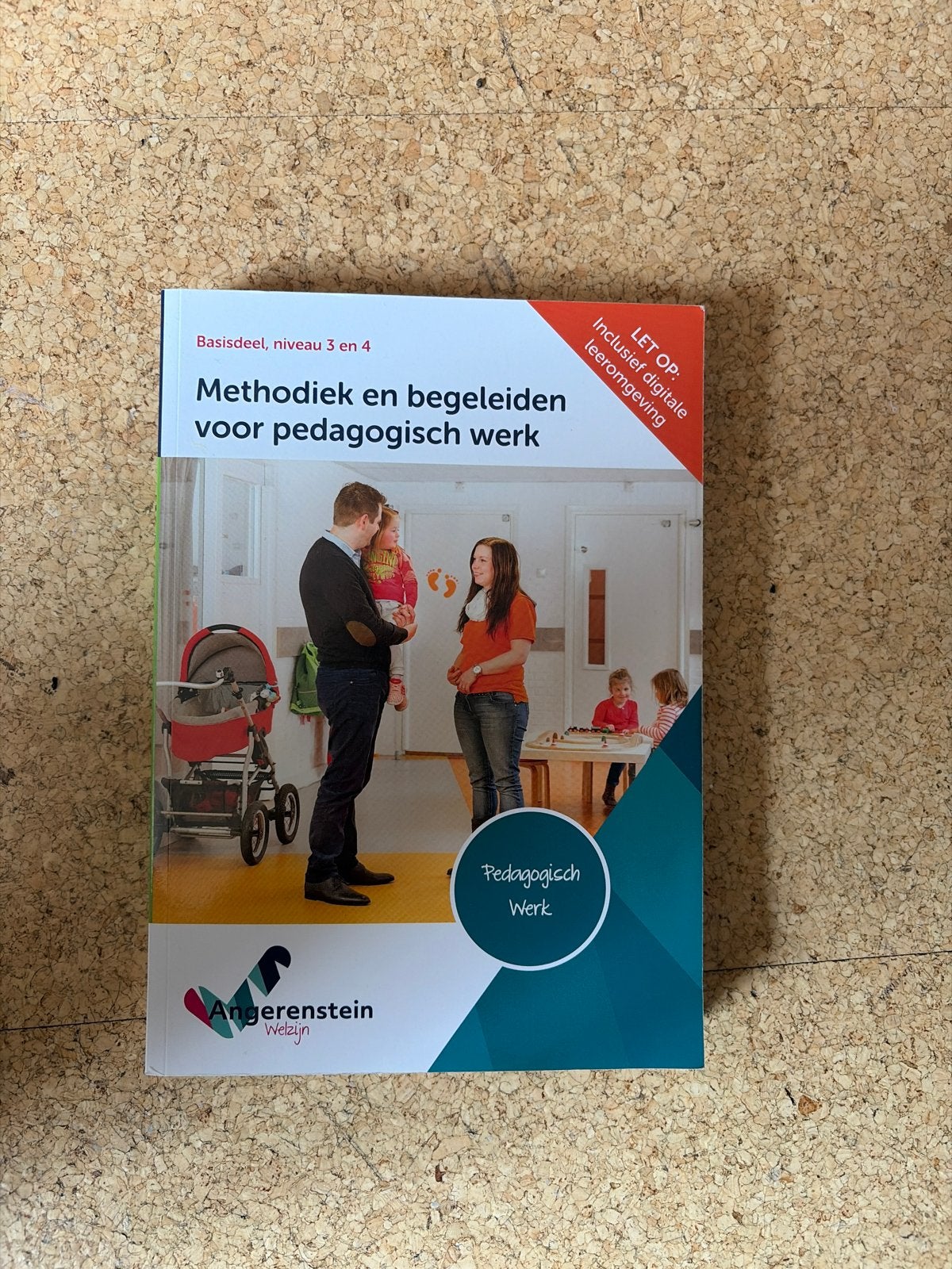 Methodiek en begeleiden voor pedagogisch werk, Boeken, Ophalen of Verzenden, Zo goed als nieuw, Overige niveaus, Overige vakken