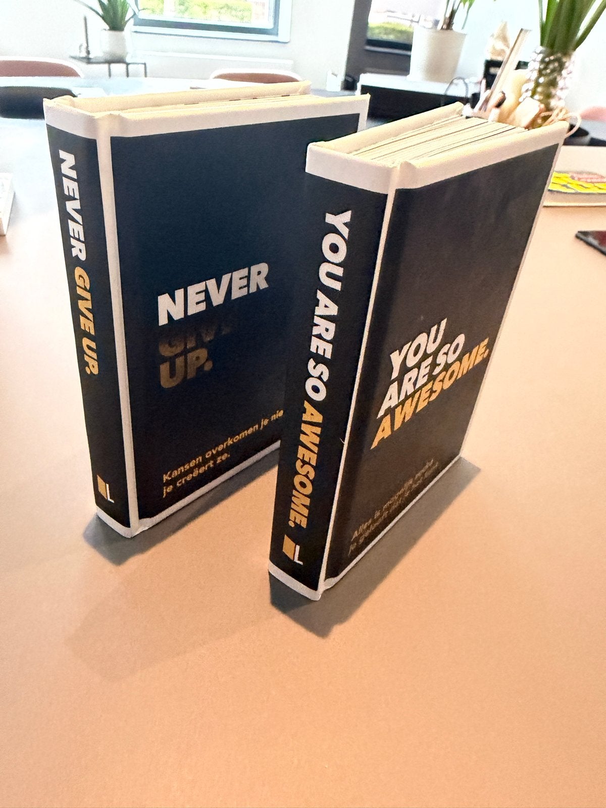Set van 2 inspirerende boeken: Never Give Up & You Are So Aw, Ophalen of Verzenden, Zo goed als nieuw