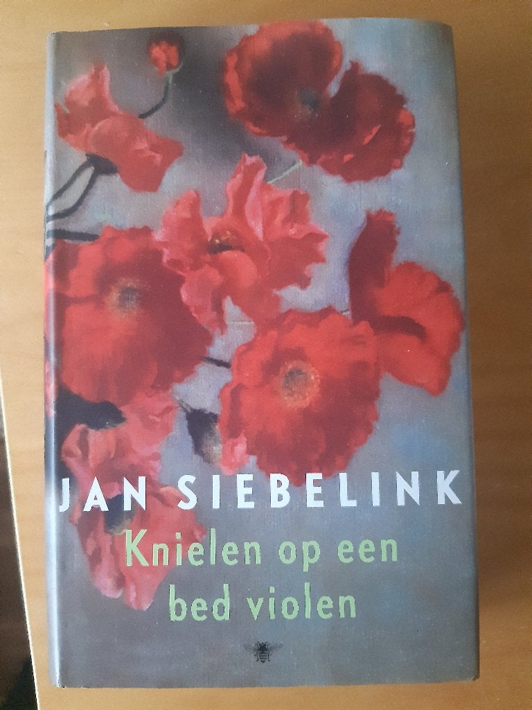 Roman Jan Siebelink, Ophalen of Verzenden, Zo goed als nieuw, Jan Siebelink, Nederland