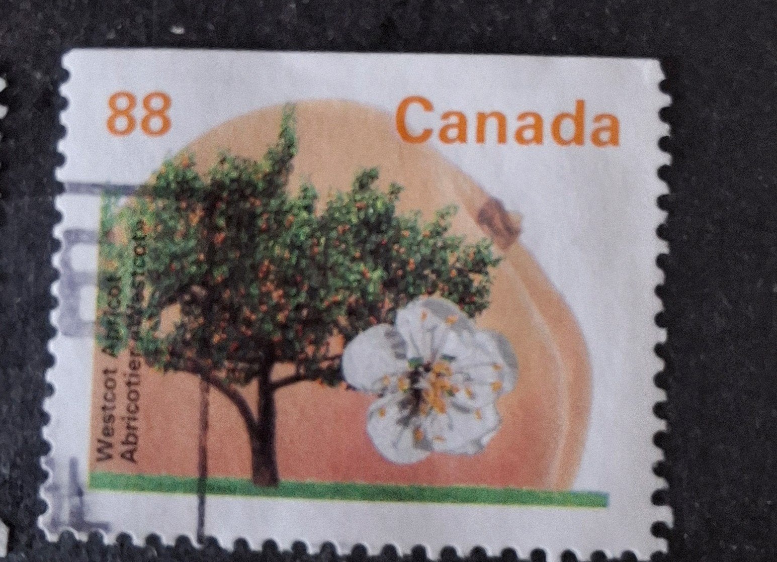 Canada 290, Ophalen of Verzenden, Noord-Amerika