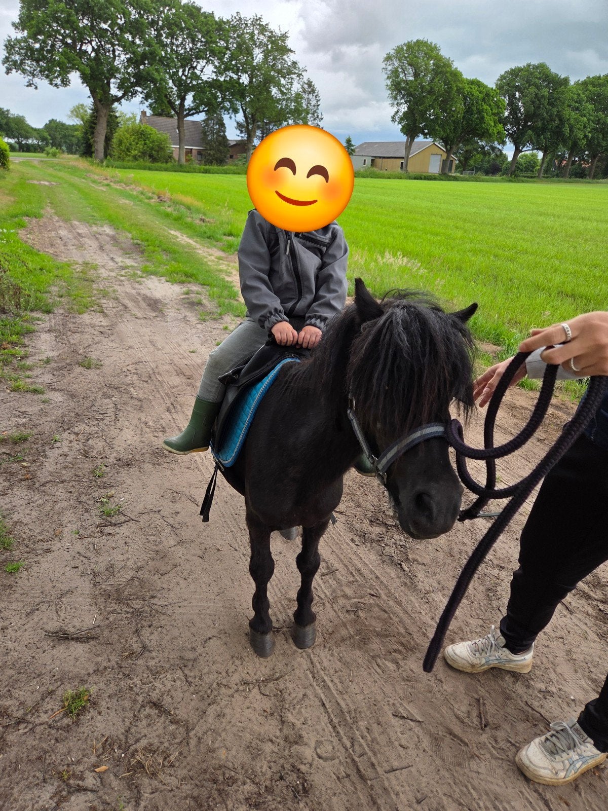 Shetlander merrie met merrie veulen, Merrie