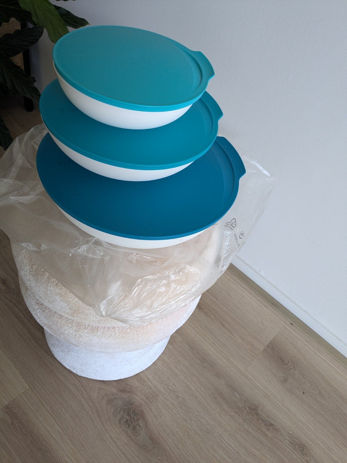 schalen, Ophalen of Verzenden, Nieuw, Schaal