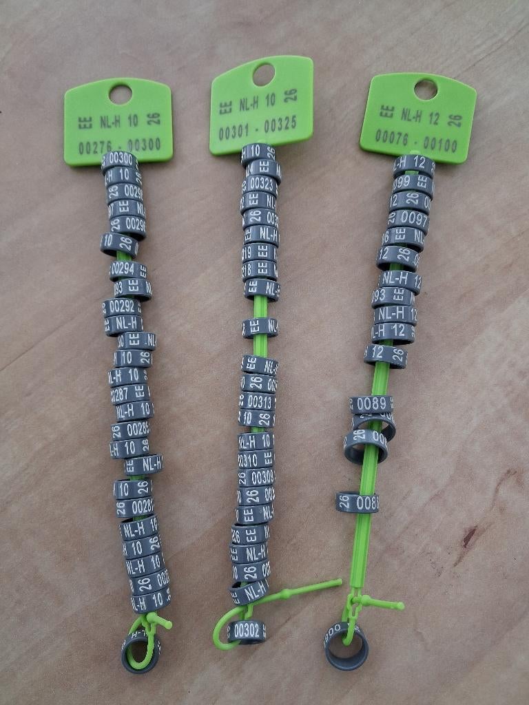 pluimvee ringen, Meerdere dieren, Kip