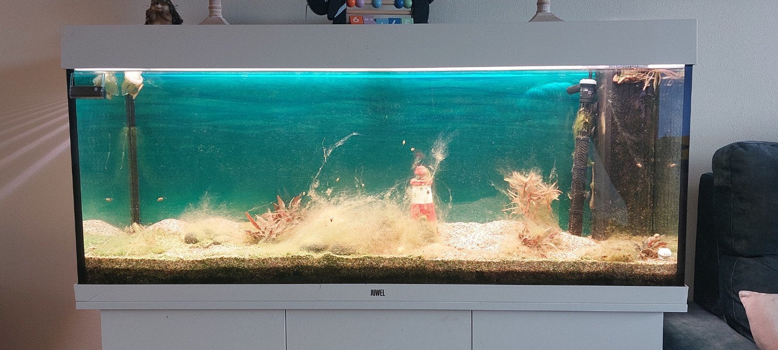 Titel: Juwel Rio 240 compleet met meubel, techniek + high-en, Dieren en Toebehoren, Ophalen, Gebruikt, Gevuld zoetwateraquarium