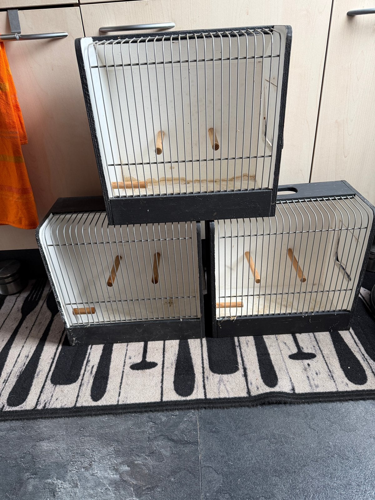 Kooi kooitje tentoonstelling vogels, Dieren en Toebehoren, Vogels | Hokken en Kooien, Verzenden, Zo goed als nieuw, Hout, Vogelkooi