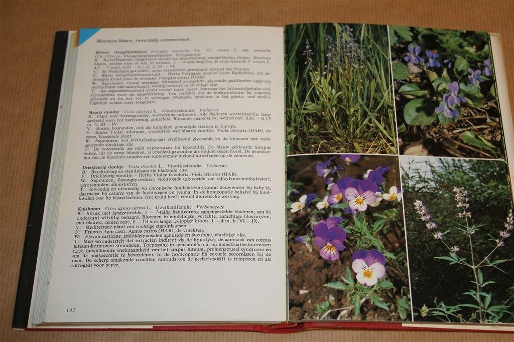 Thieme\'s gids voor geneeskrachtige planten., Boeken, Ophalen of Verzenden, Gelezen, Overige onderwerpen, Achtergrond en Informatie