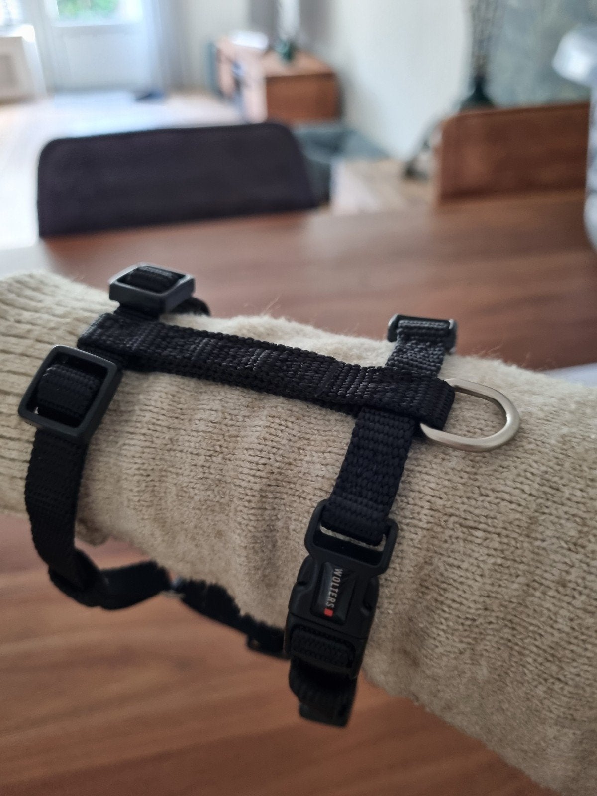 Puppy Tuigje Wolters maat S (30-40 cm), Ophalen of Verzenden, Zo goed als nieuw