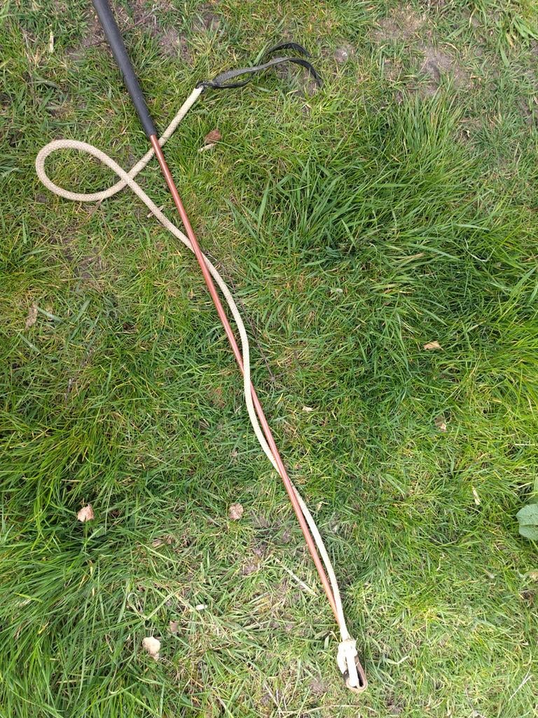Trainingsstick, Dieren en Toebehoren, Ophalen, Gebruikt
