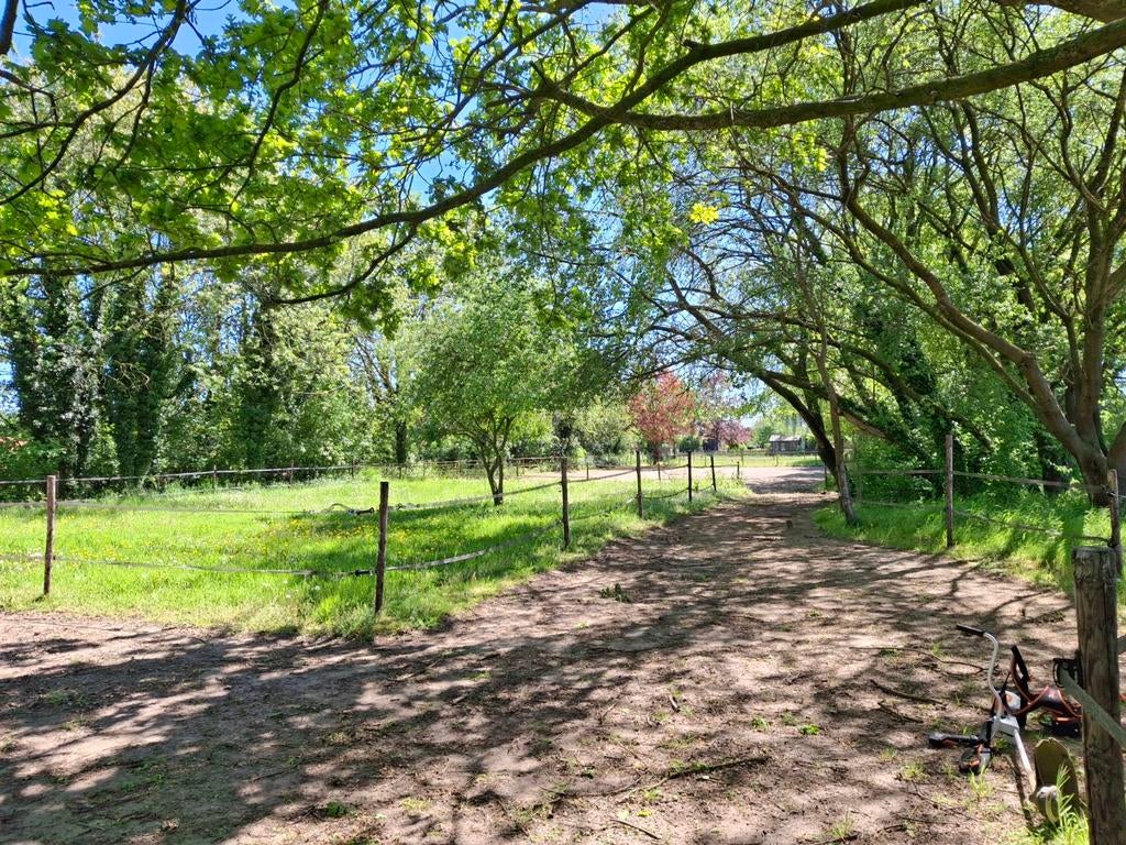 Te huur: stuk grond voor 2-4 ponies/paarden in eigen beheer