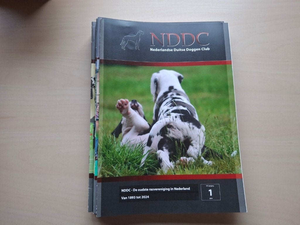 NDDC (Nederlandse Duitse Doggen Club), Verzenden, Gelezen, Overige typen
