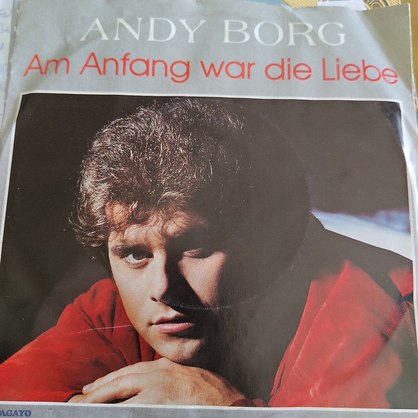 Andy Borg - Am Anfang war die Liebe (Single), Ophalen of Verzenden, Gebruikt, 7 inch