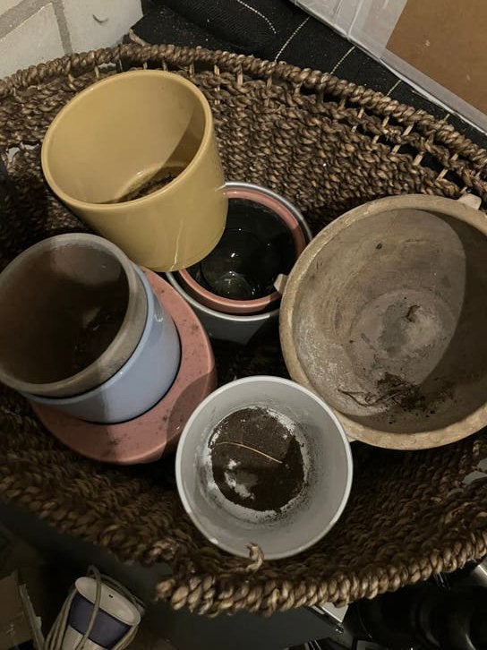 Gratis ophalen allerlei bloempotten, Ophalen, Gebruikt, Rond, Aardewerk