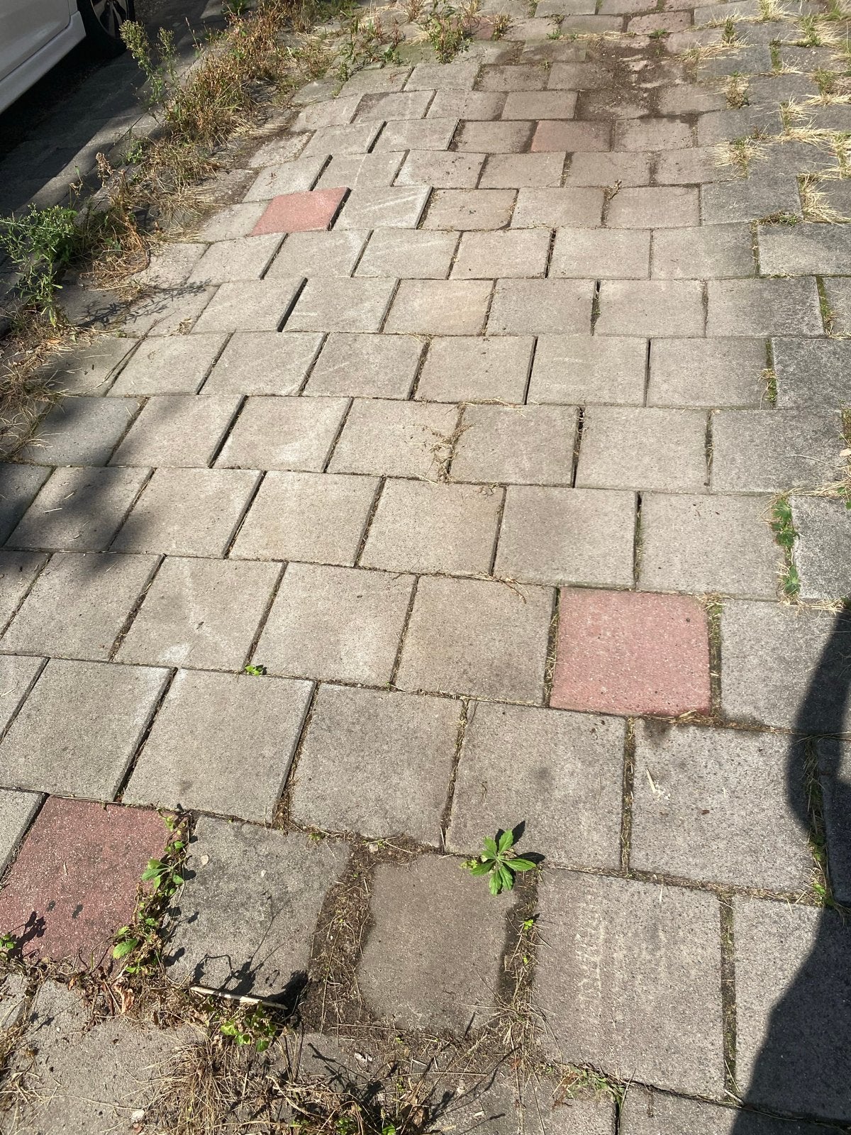 Gebruikte terrastegels en klinkers - diverse kleuren, Ophalen, Gebruikt, 10 m² of meer, Beton