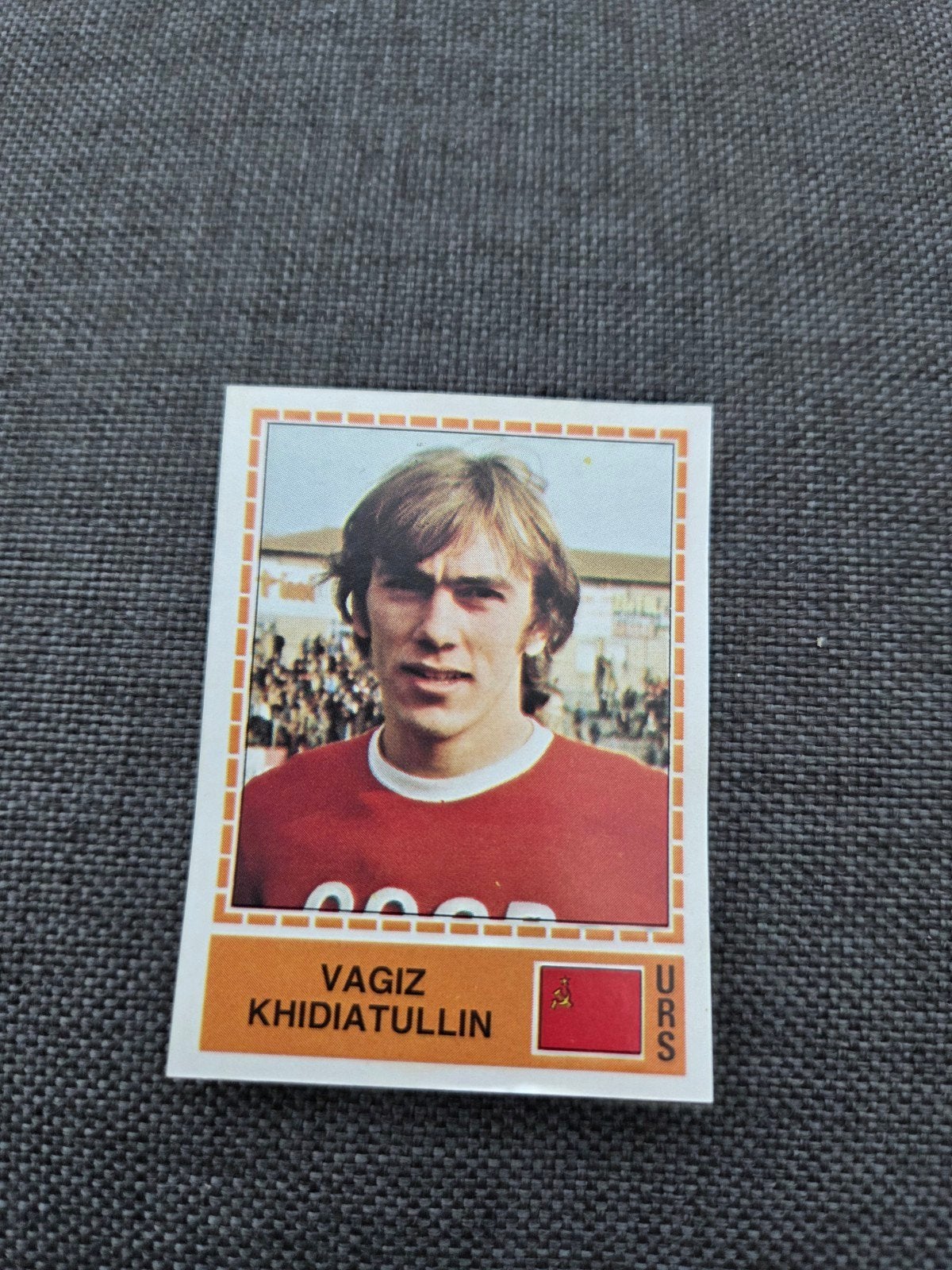 Panini EK 80, Ophalen of Verzenden, Zo goed als nieuw, Sticker