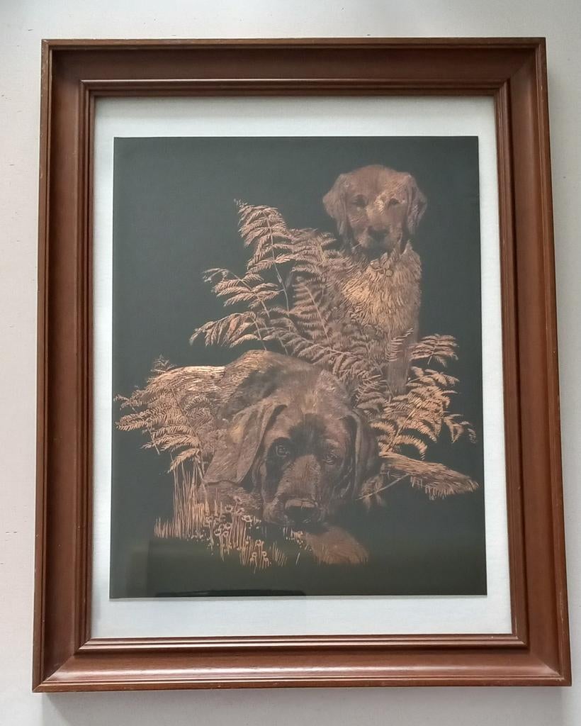 Mooie 'scratch art' tekening van 2 Golden Retrievers., Ophalen of Verzenden, Minder dan 50 cm, Schilderij, Minder dan 50 cm