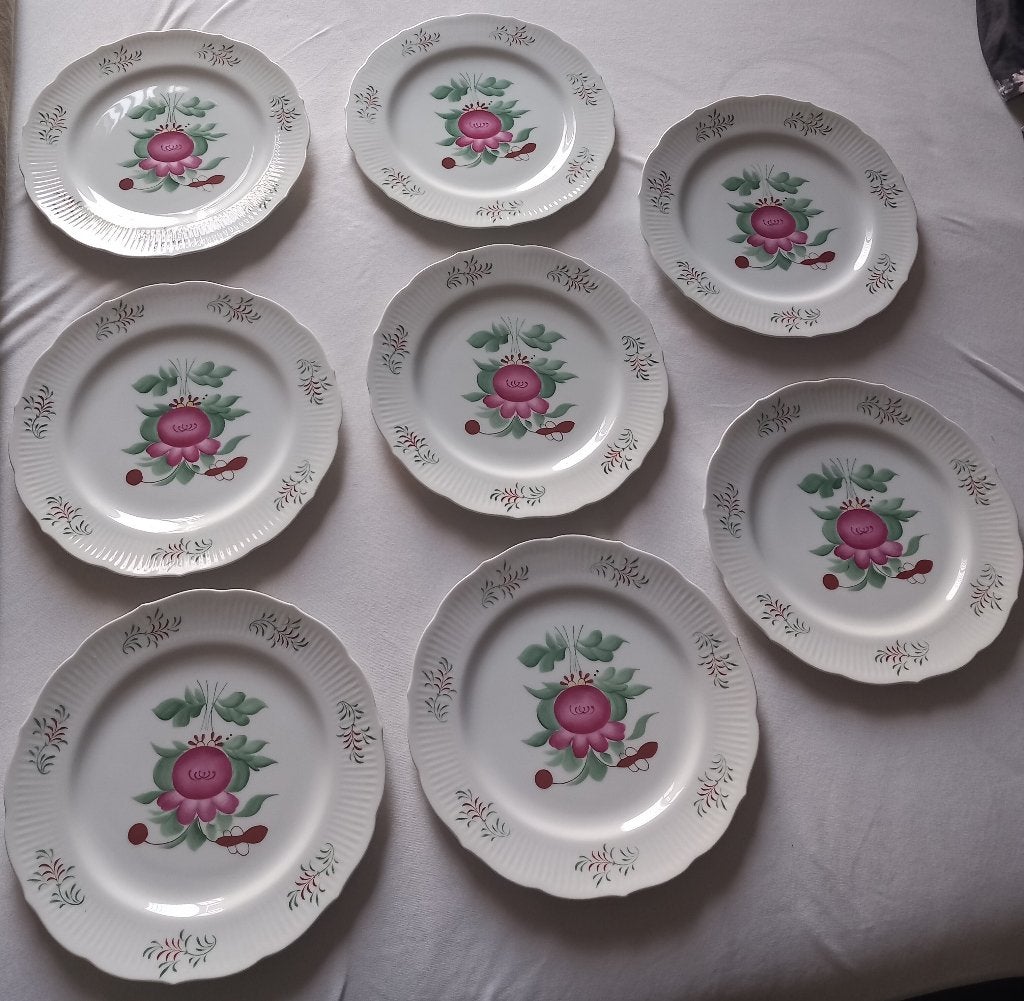 August Warnecke Ostfriesland dinerbord  Handgemalt 26cm 8x, Ophalen
