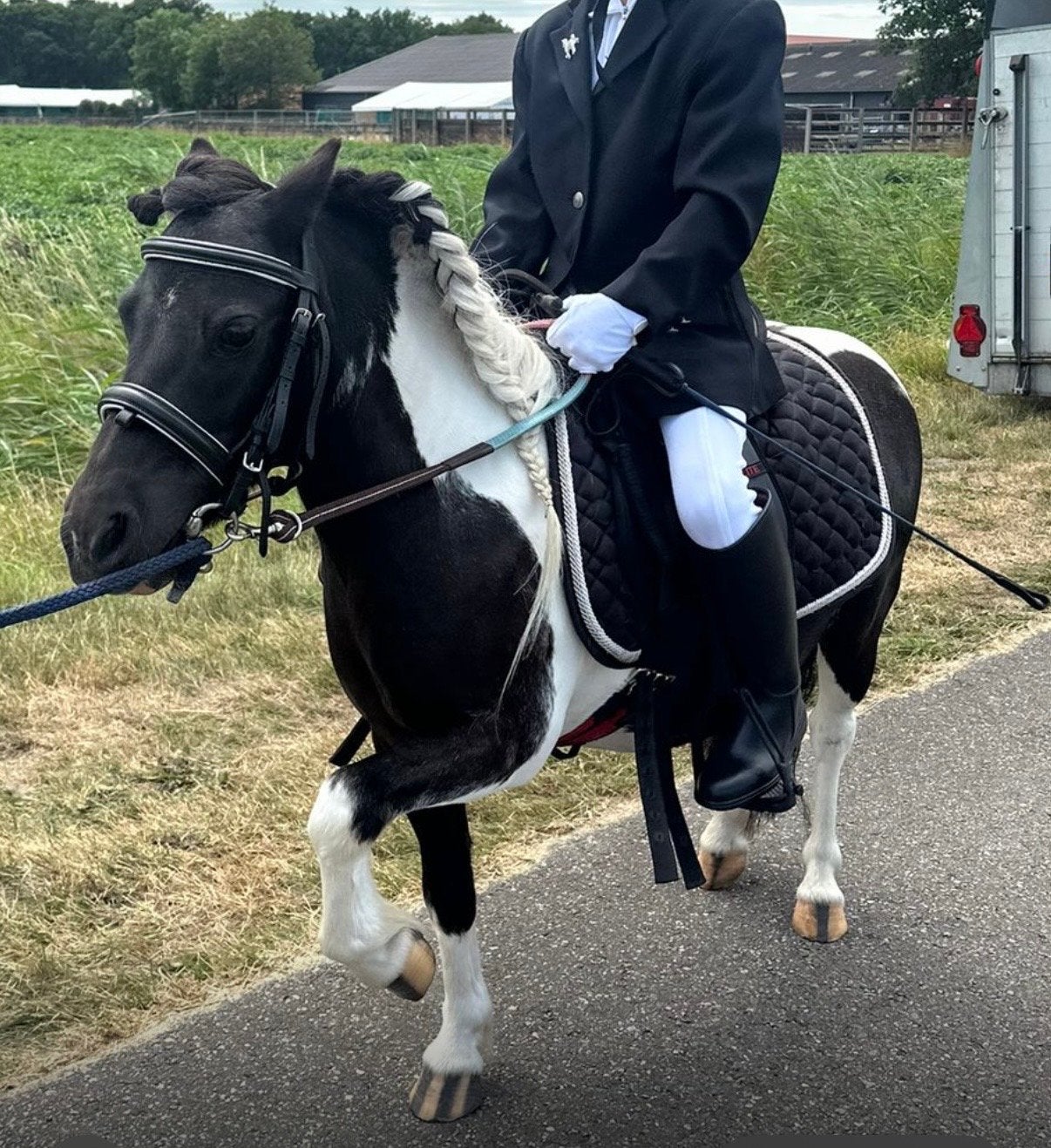 Stalling gezocht voor lieve kinderpony!, Dieren en Toebehoren, Stalling, 1 paard of pony