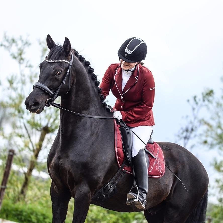 KWPN dressuurpaard ruin (Negro x Goodtimes), Met stamboom, Ruin, M, Dressuurpaard