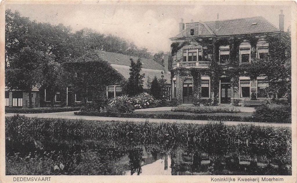 702-113-019 Dedemsvaart Koninklijke Kweekerij Moerheim, Verzenden, Voor 1920, Overijssel