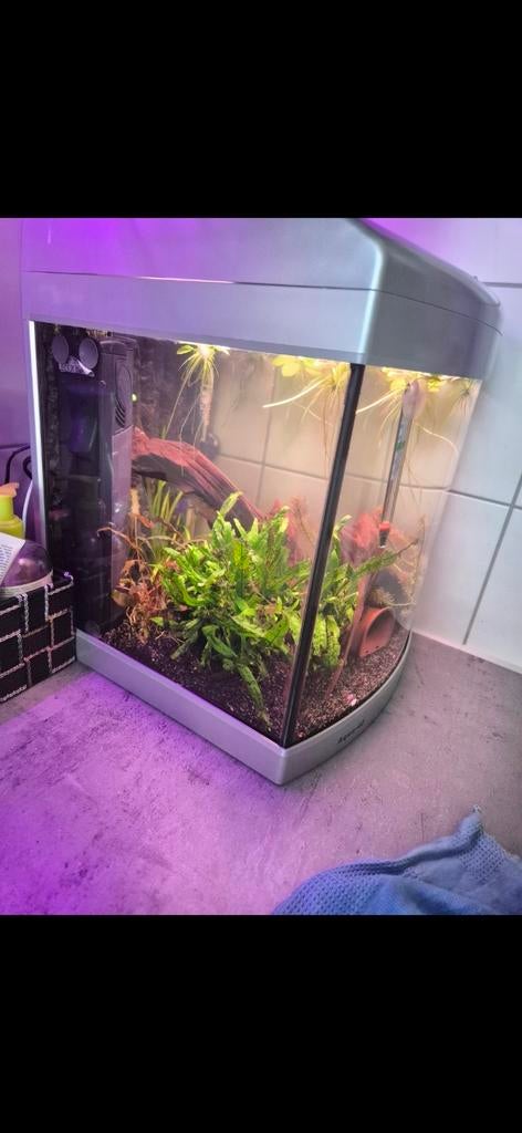 Aquarium 40 liter, Dieren en Toebehoren, Ophalen, Zo goed als nieuw, Leeg aquarium