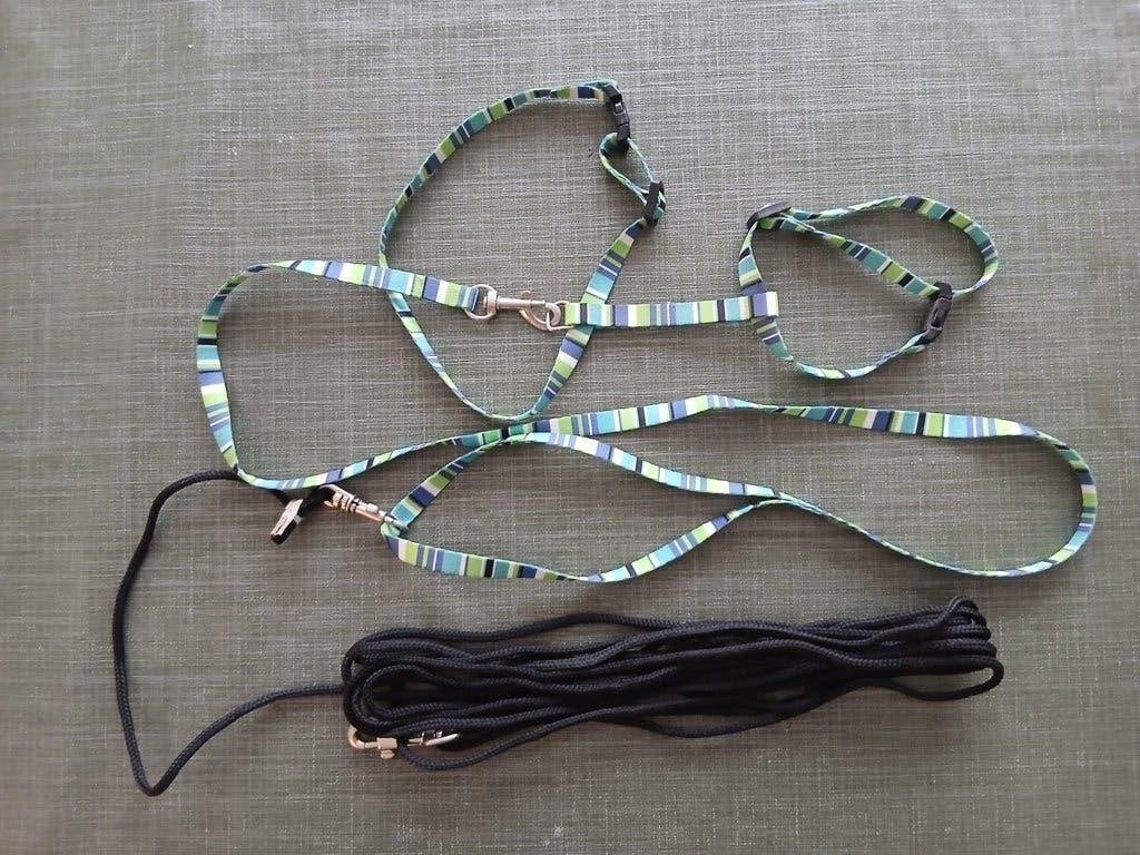 Kattentuigje met lijn kattenriem, Dieren en Toebehoren, Katten-accessoires, Ophalen of Verzenden, Zo goed als nieuw