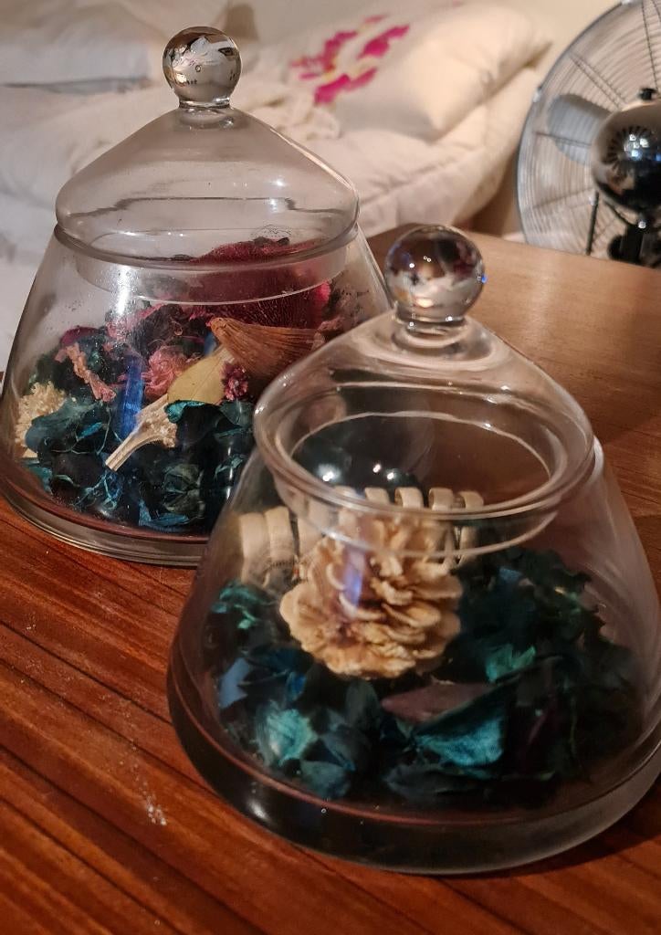 Decoratieve Glazen Stolp Sandra Rich – Handgemaakt Glas, Huis en Inrichting, Woonaccessoires | Stolpen, Ophalen of Verzenden