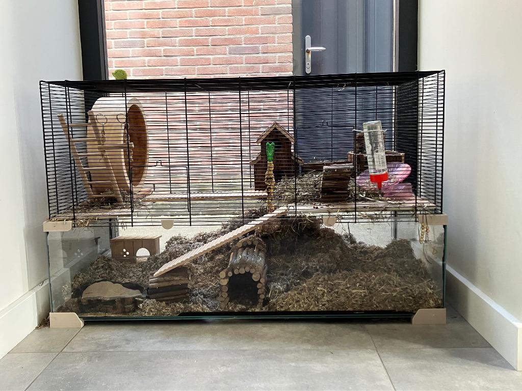 Hamsterhok voor goudhamster, Gebruikt, 75 tot 110 cm, Ophalen, Minder dan 60 cm