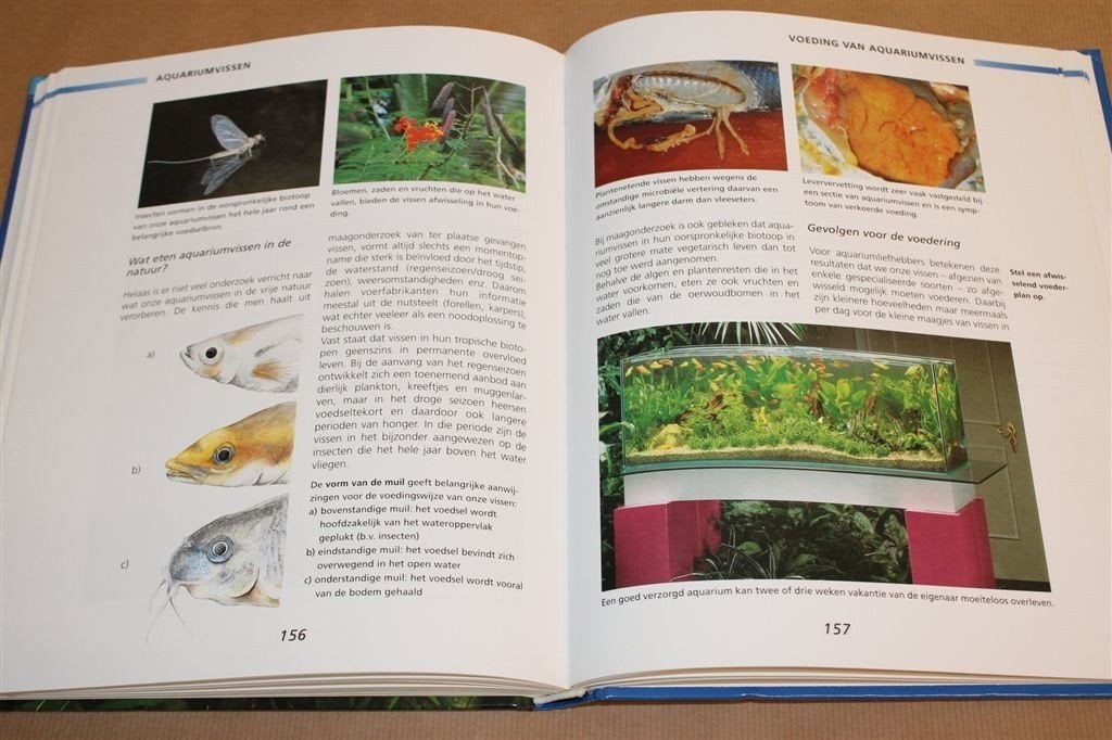 Het Zoetwateraquarium — Inrichting, Vissen & Kweek, Ophalen of Verzenden, Zo goed als nieuw, Vissen