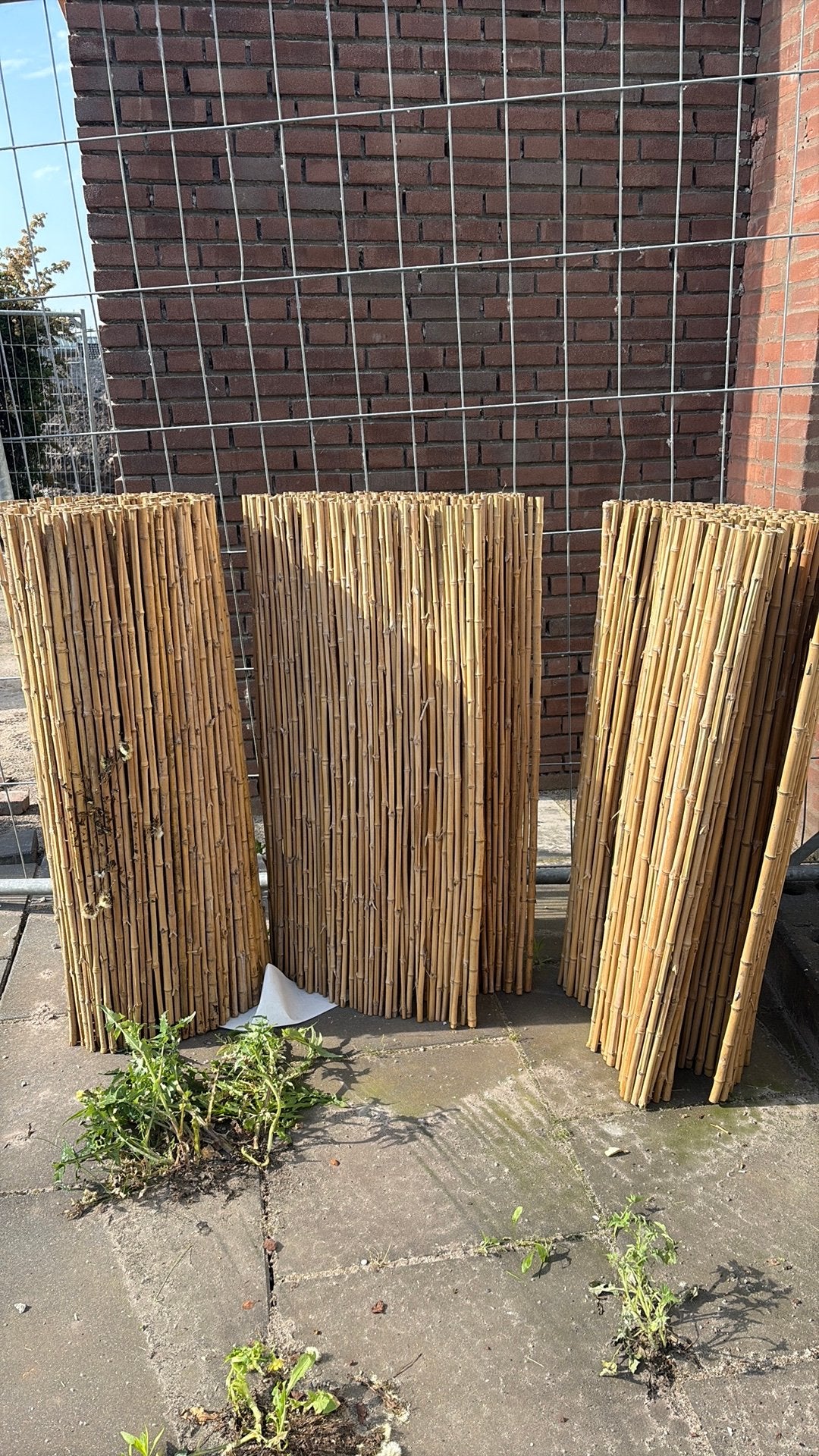 3x cenandi Privacy Schermen 100x300 cm Nieuw, Ophalen, -, 100 tot 150 cm, -