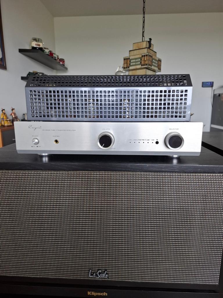 Cayin  cs-300a buizenversterker met extra buizen, Ophalen of Verzenden, Versterker