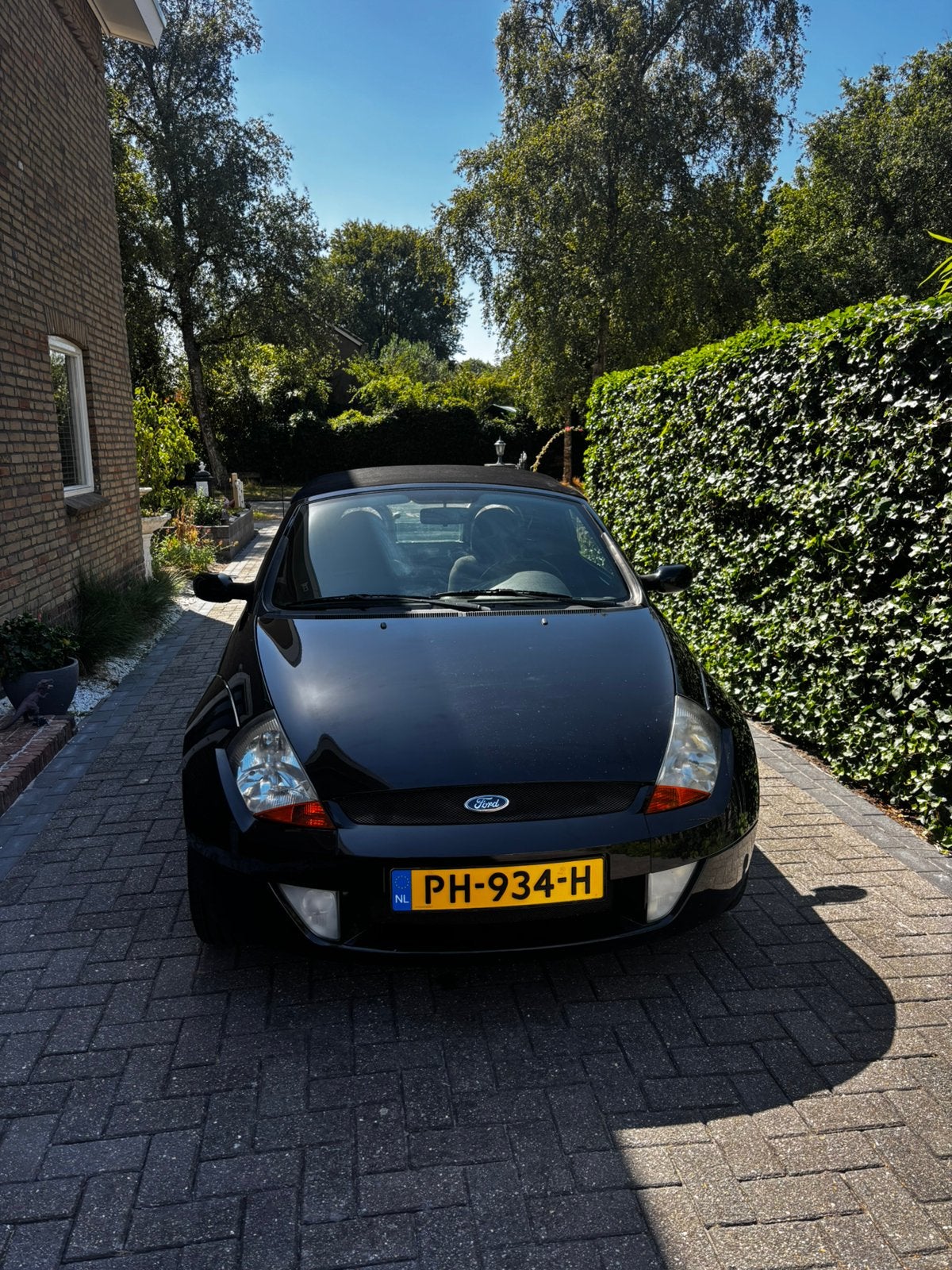 Ford Ka 1.6 Streetka 2003 Zwart, 40 €/maand, 1599 cc, Zwart, Handgeschakeld