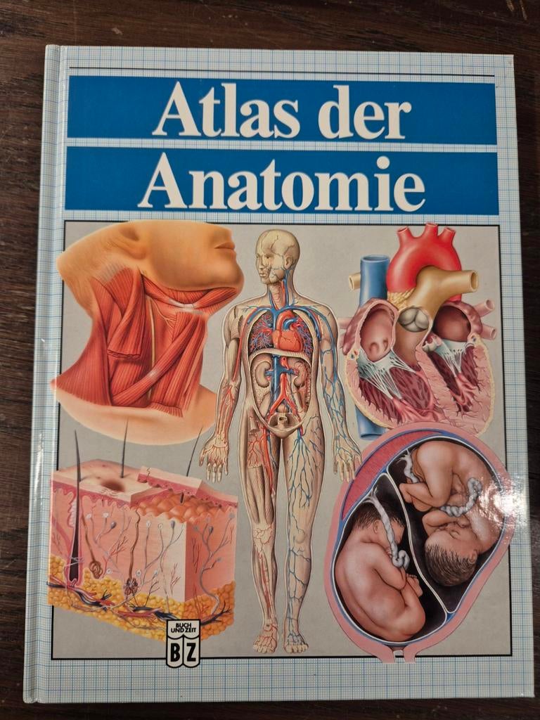 Anatomie Atlas - Duitstalig, Boeken, Atlassen en Landkaarten, Gelezen, Overige atlassen, Overige gebieden, 1800 tot 2000, Ophalen of Verzenden