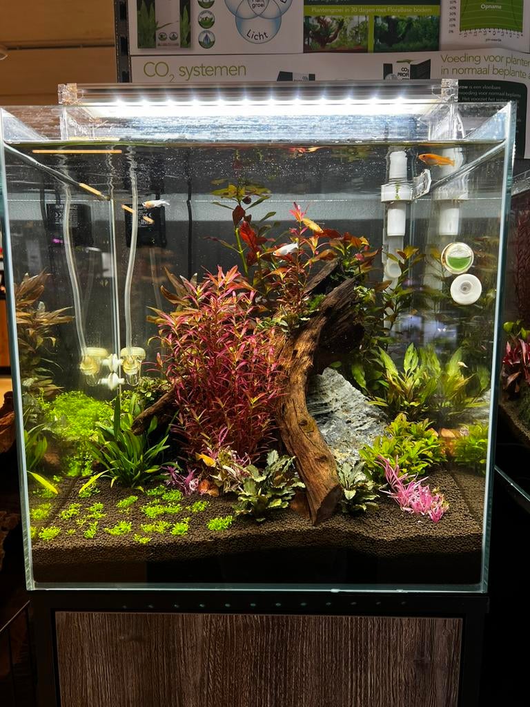 Aqua scape’s op locatie, Ophalen, Zo goed als nieuw, Leeg aquarium