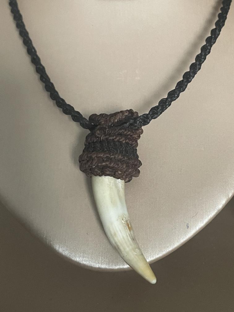 Antieke ketting met tand, Sieraden, Tassen en Uiterlijk, Kettingen, Ophalen of Verzenden, Zo goed als nieuw, Overige materialen