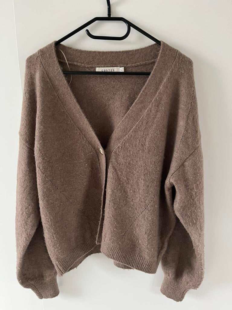 Vest Costes, Kleding | Dames, Ophalen of Verzenden, Gedragen, Maat 38/40 (M), Bruin