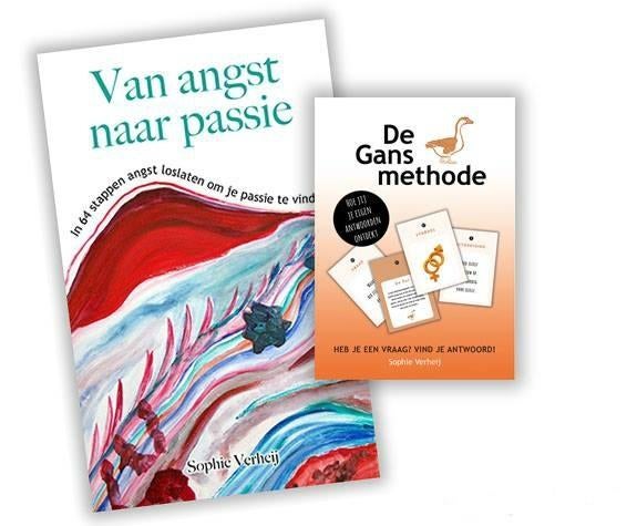 Van angst naar passie met de Gansmethode, Ophalen of Verzenden, Nieuw, Sophie Verheij