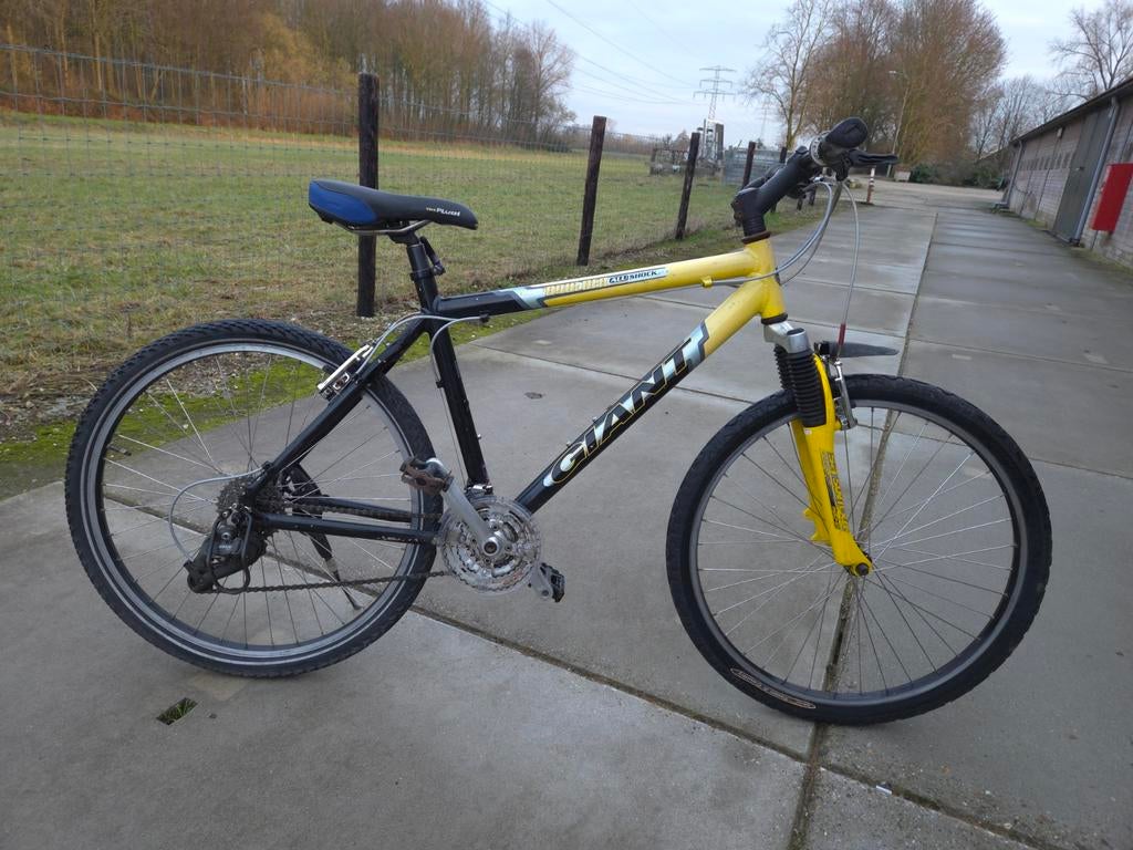 Kids Giant Boulder Alu Shock MTB - 19 Inch Frame, Gebruikt, Hardtail, Heren, Giant