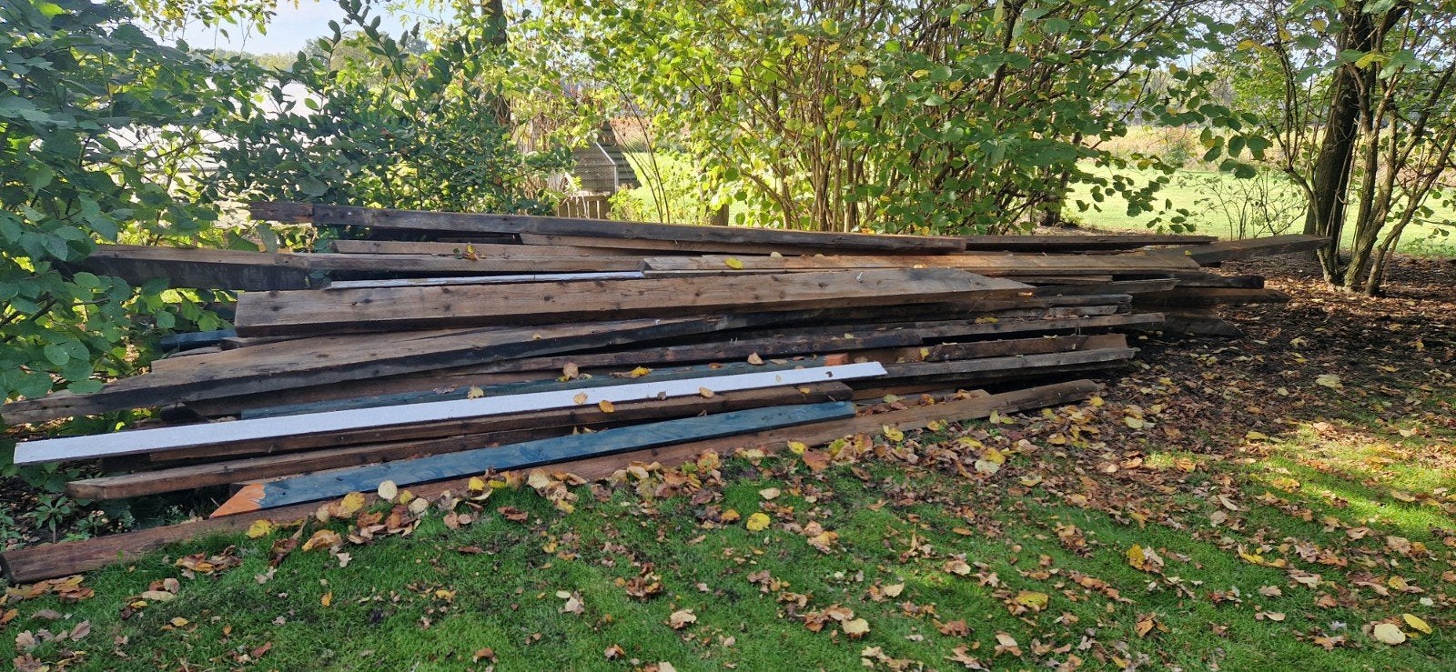 Oude houten dakspanten, diverse lengtes, Ophalen, Gebruikt, 300 cm of meer, Balk
