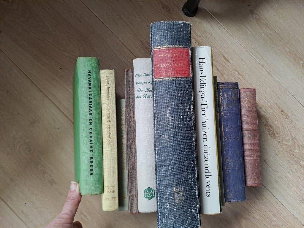 Groot pakket Klassieke Literatuur, Taal & Hobby (10 boeken!), Antiek en Kunst, Ophalen of Verzenden, Diverse auteurs