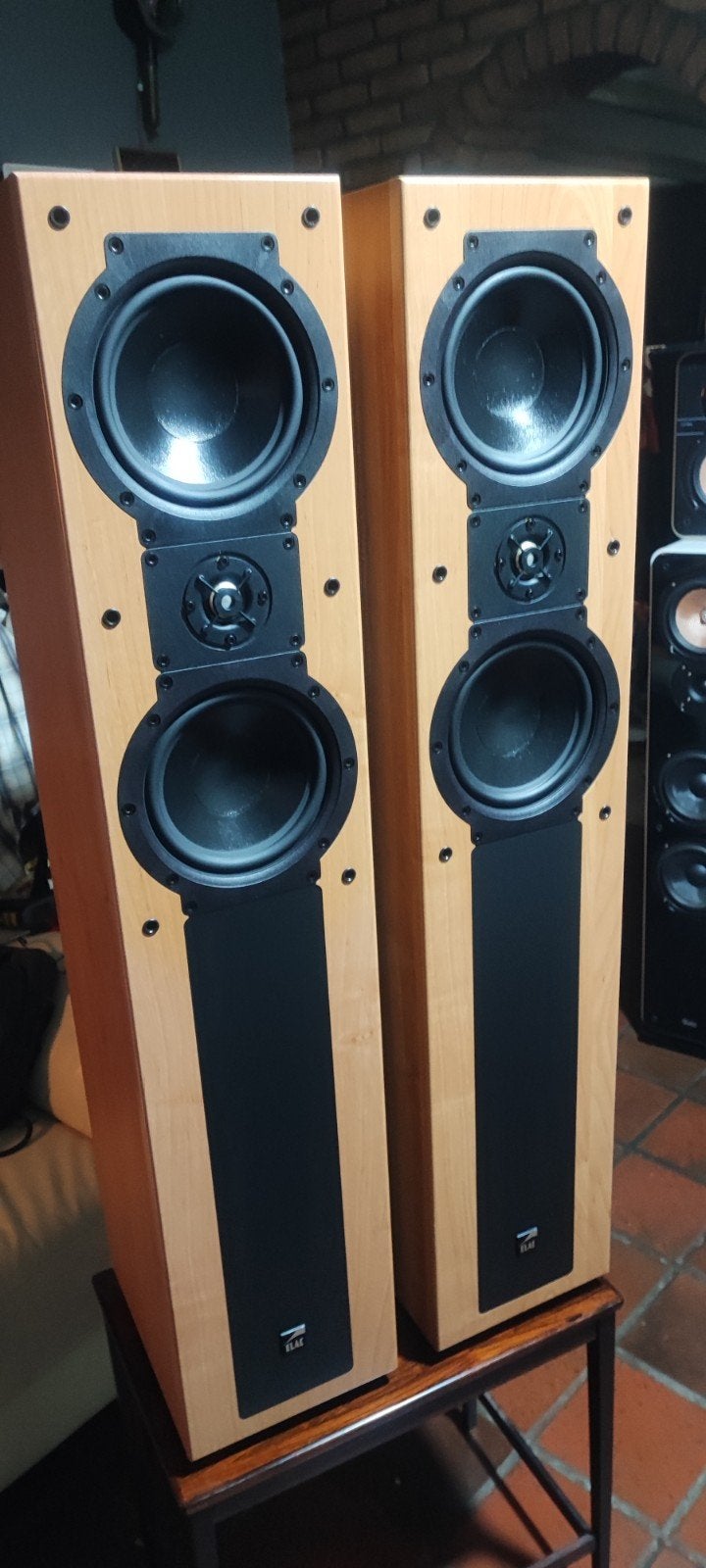 ELAC CLS 12 Vloerstaande Luidsprekers - Made in Germany, Audio, Tv en Foto, Ophalen of Verzenden